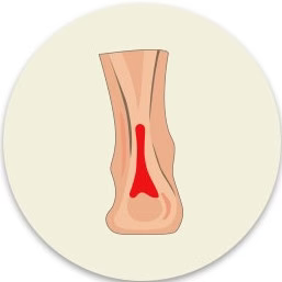 Icon Image