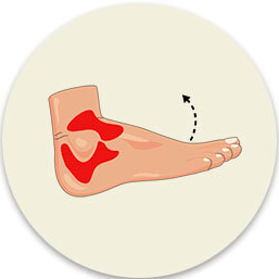 Icon Image